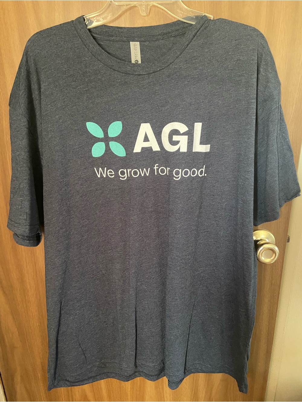 AGL Gray Tee with Teal Logo